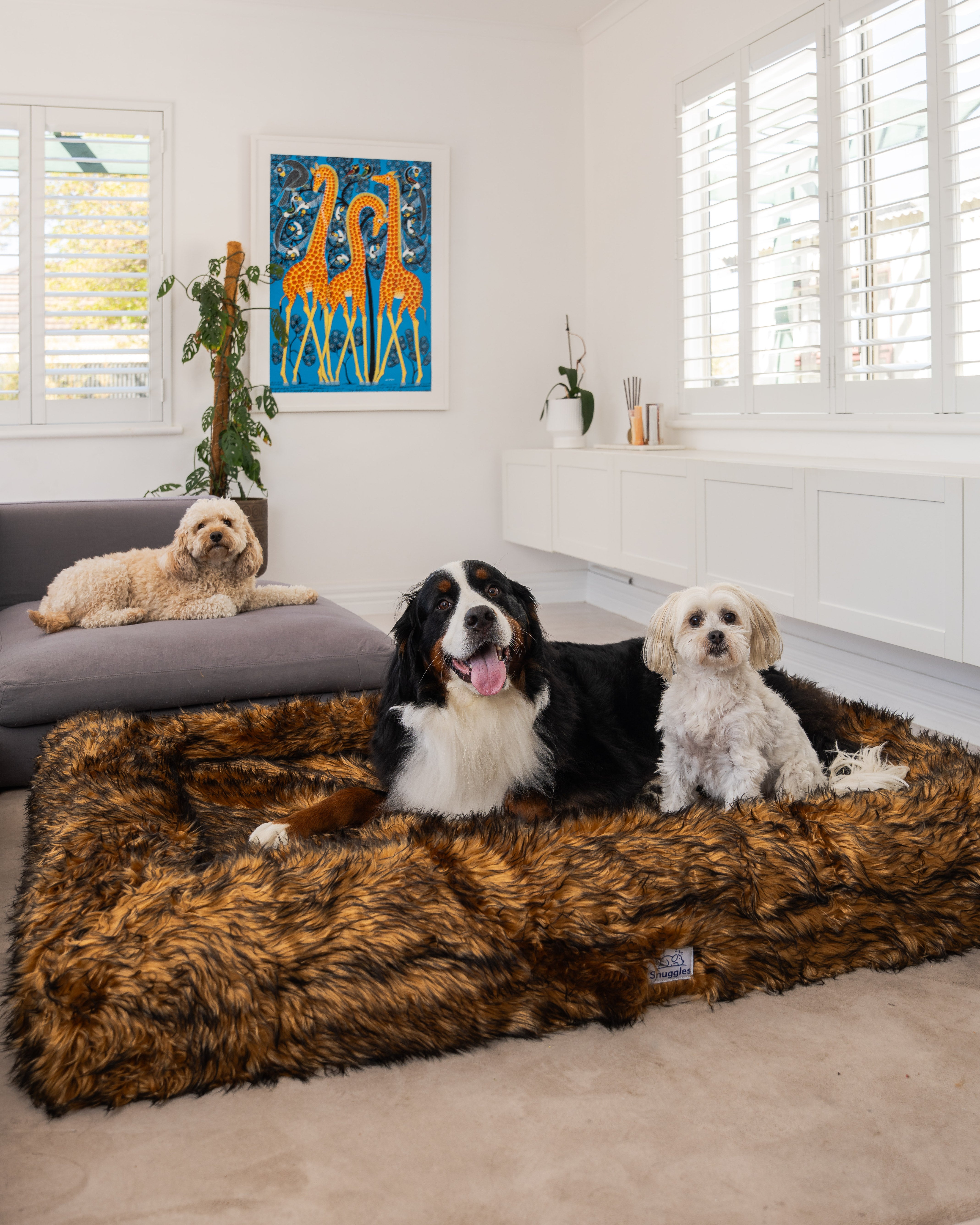 Snuggles Memory Foam Dog Bed