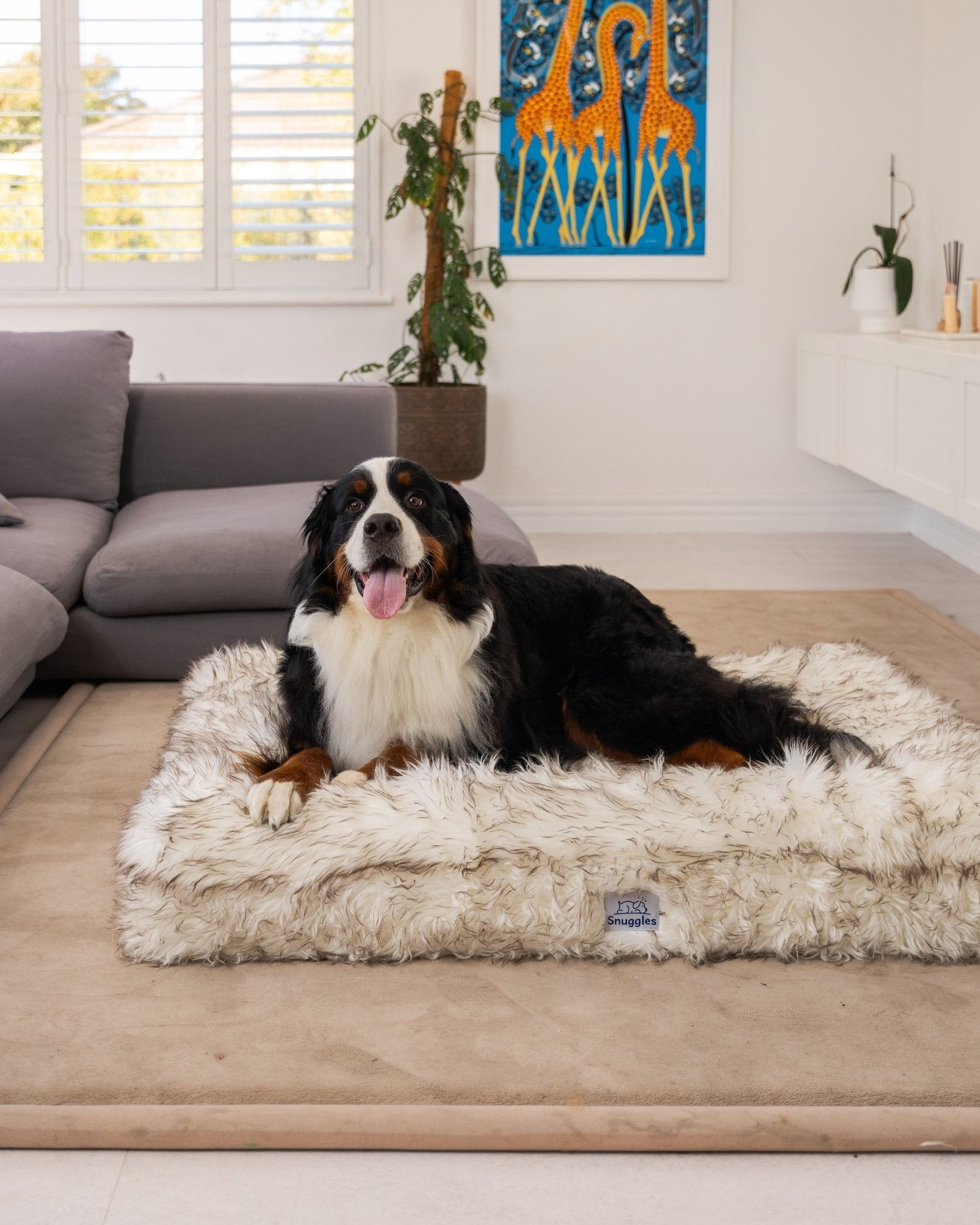 Cover - Snuggles Beds