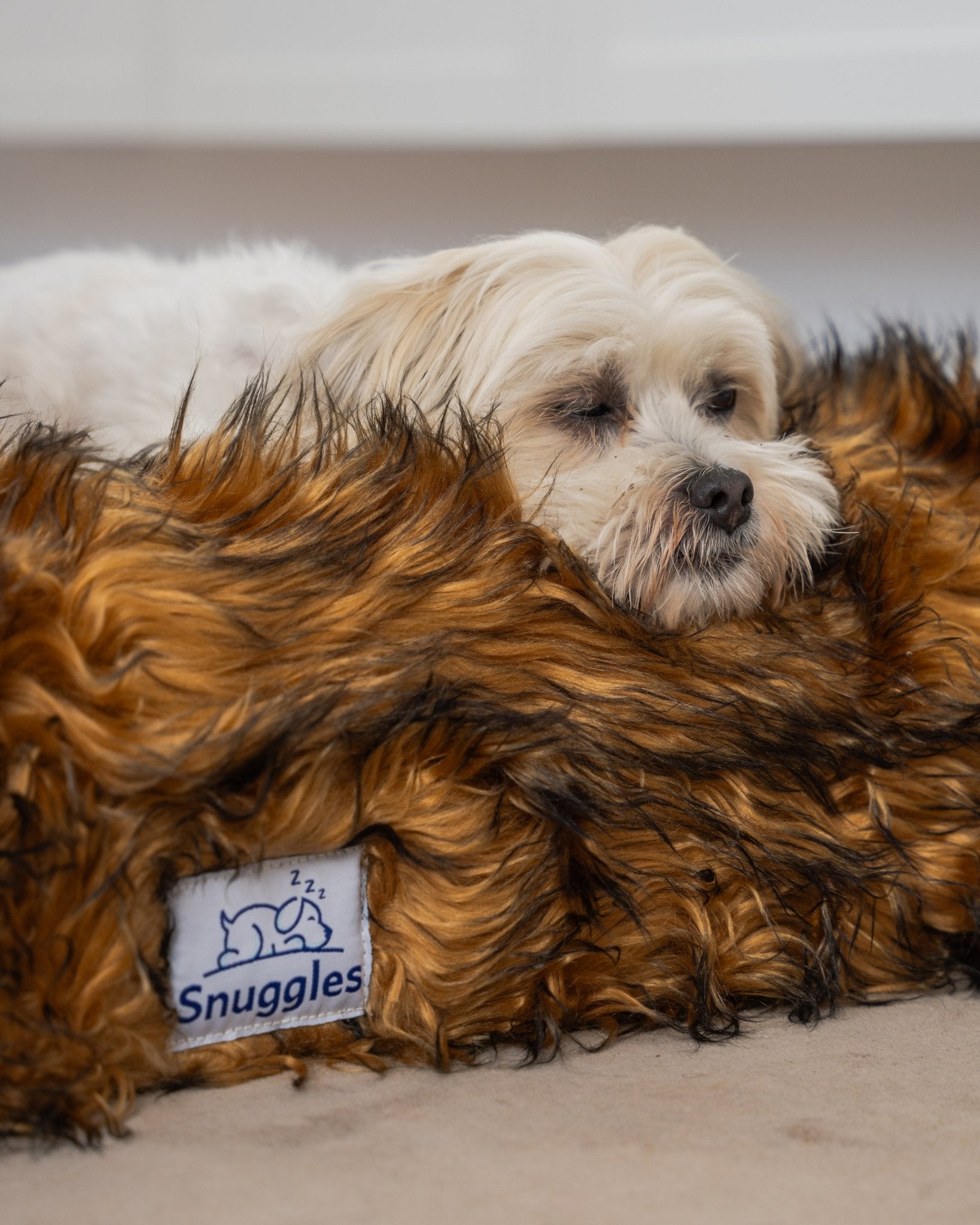 Snuggles Memory Foam Dog Bed - Snuggles Beds