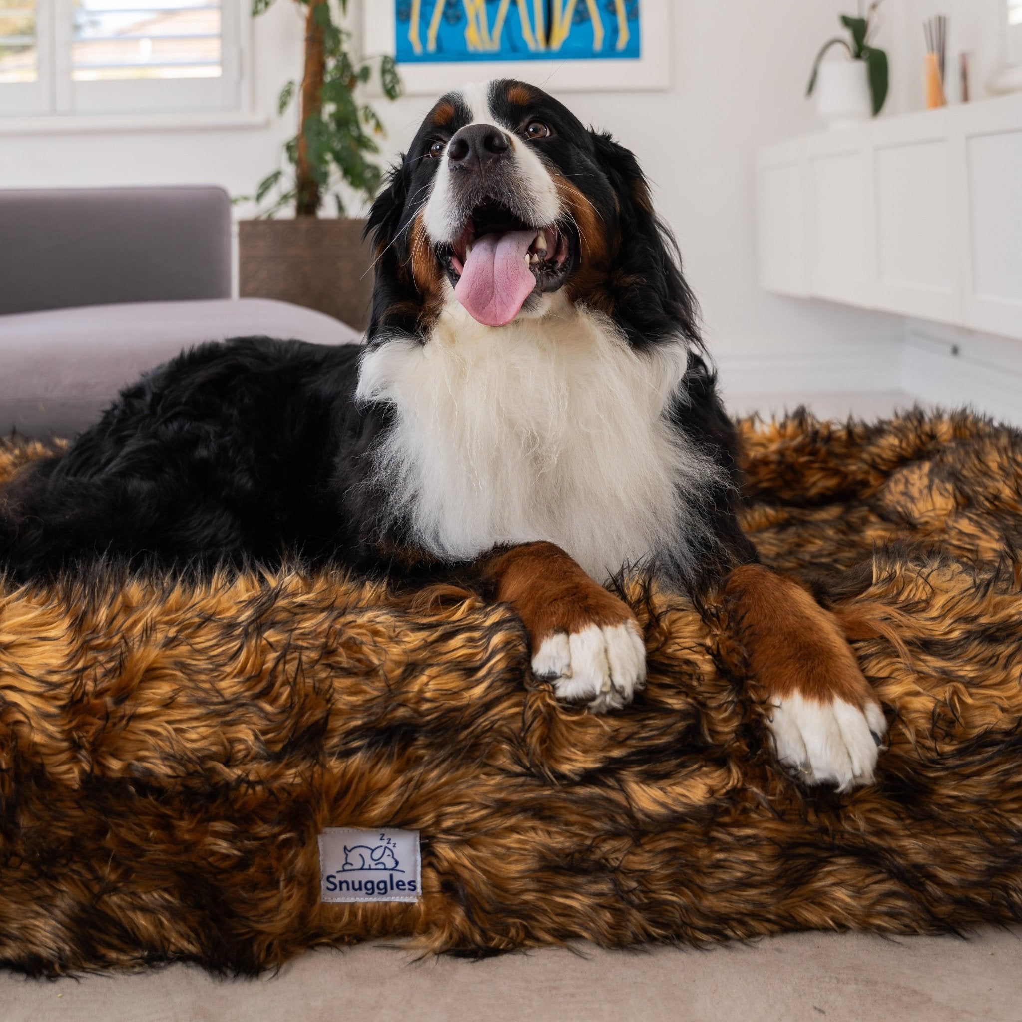 Snuggles Memory Foam Dog Bed - Snuggles Beds