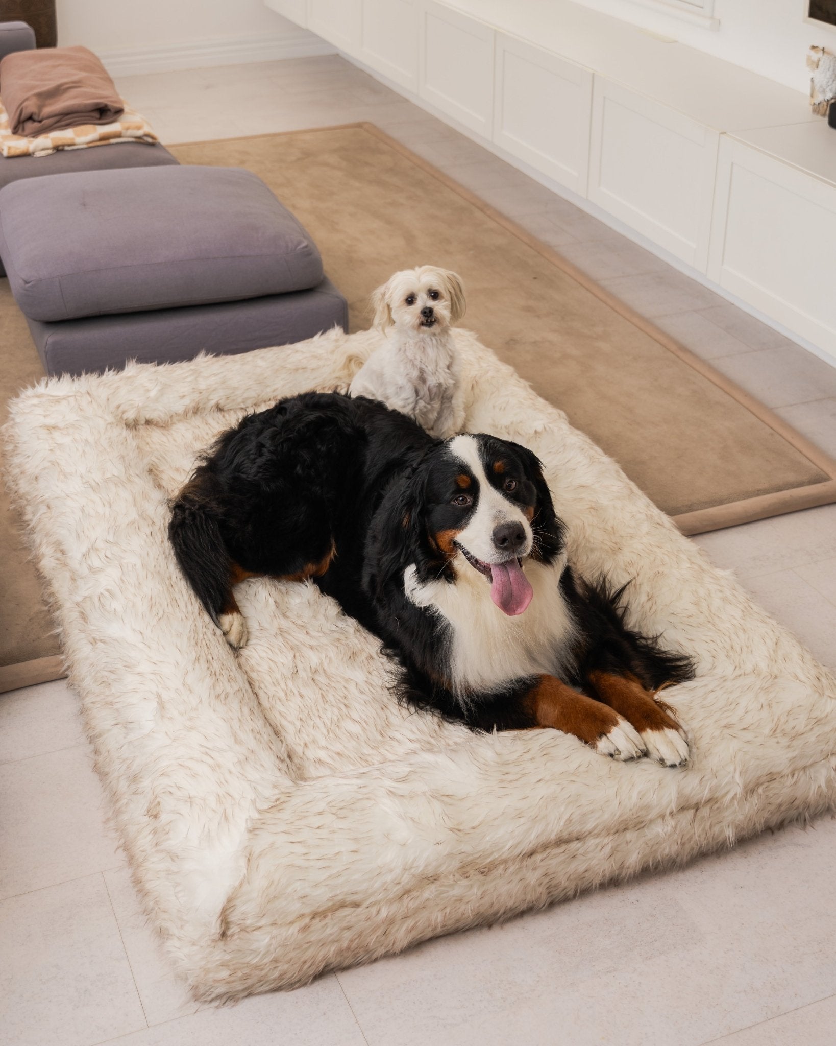Snuggles Memory Foam Dog Bed - Snuggles Beds