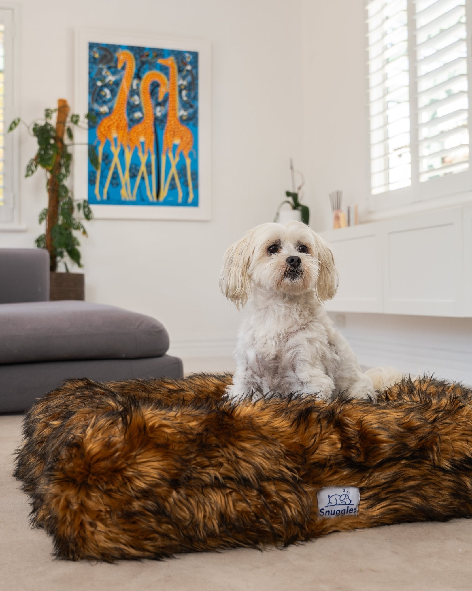 Snuggles Memory Foam Dog Bed - Snuggles Beds