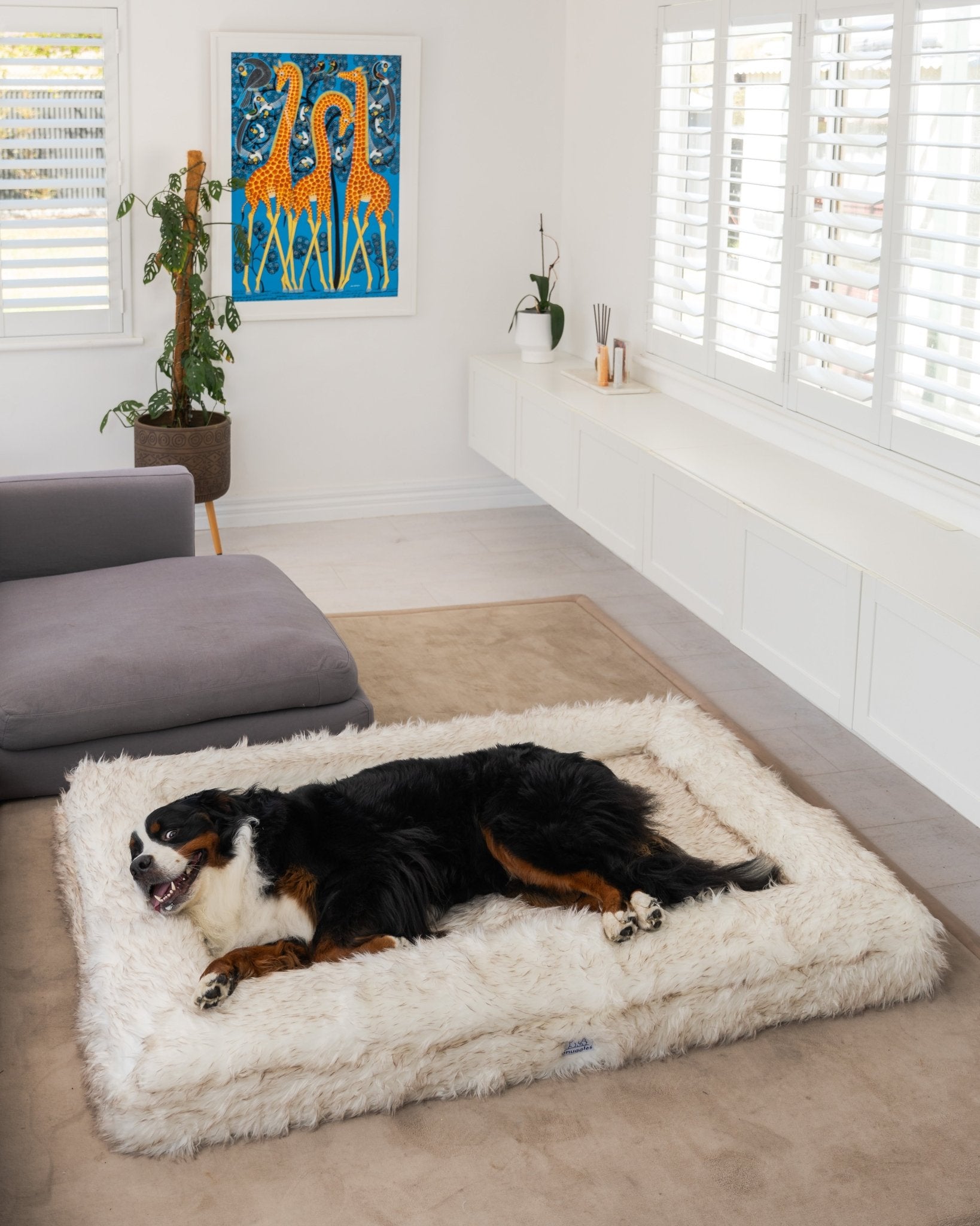 Snuggles Memory Foam Dog Bed - Snuggles Beds
