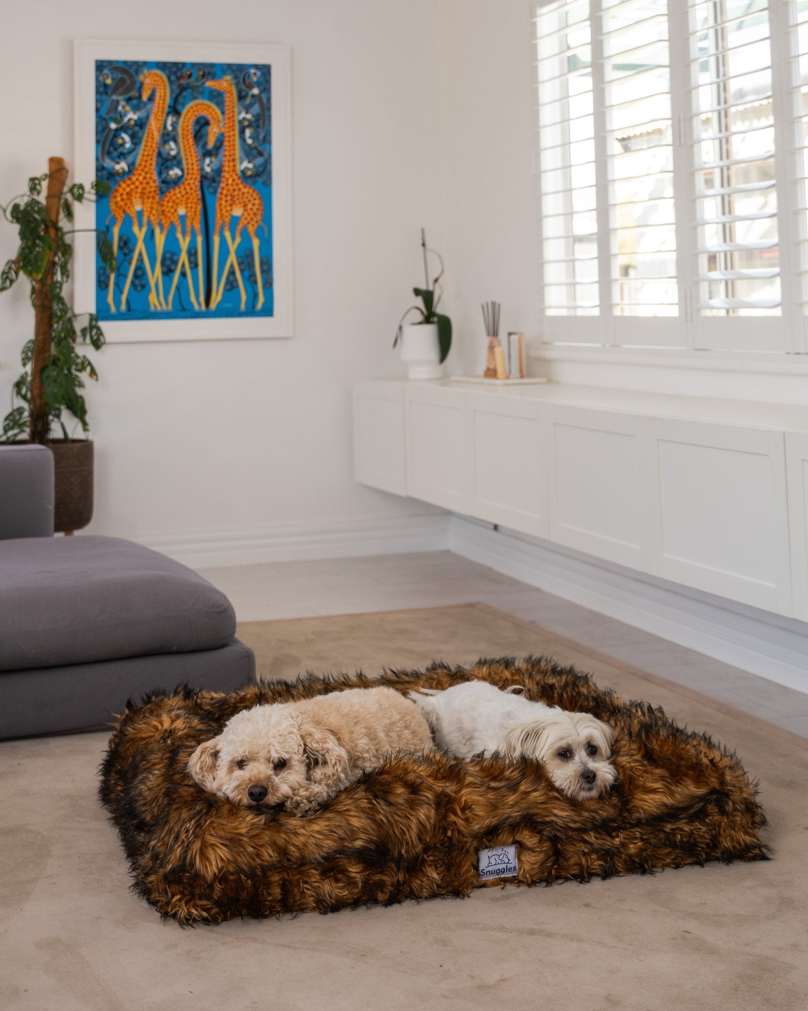 Snuggles Memory Foam Dog Bed - Snuggles Beds