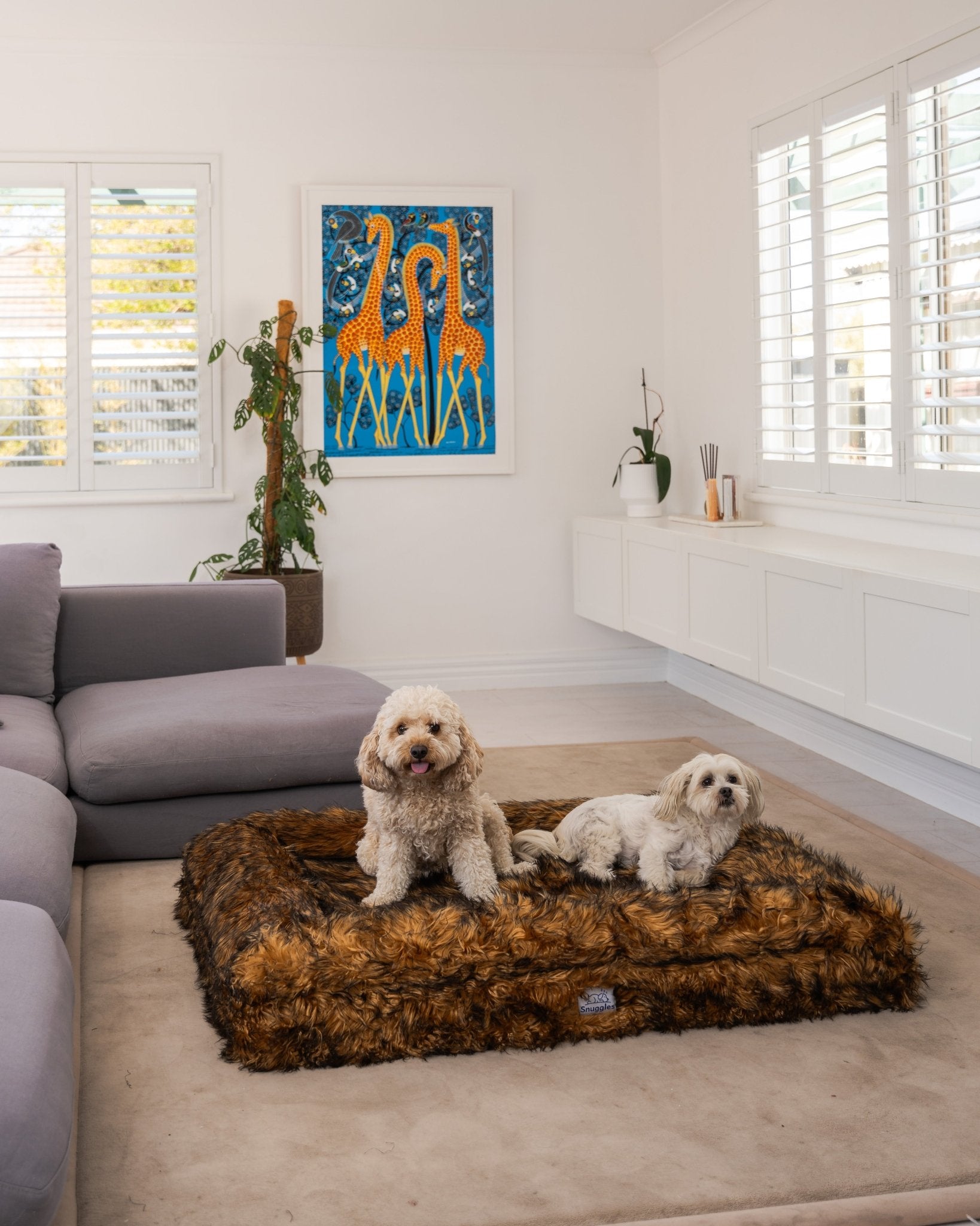 Snuggles Memory Foam Dog Bed - Snuggles Beds