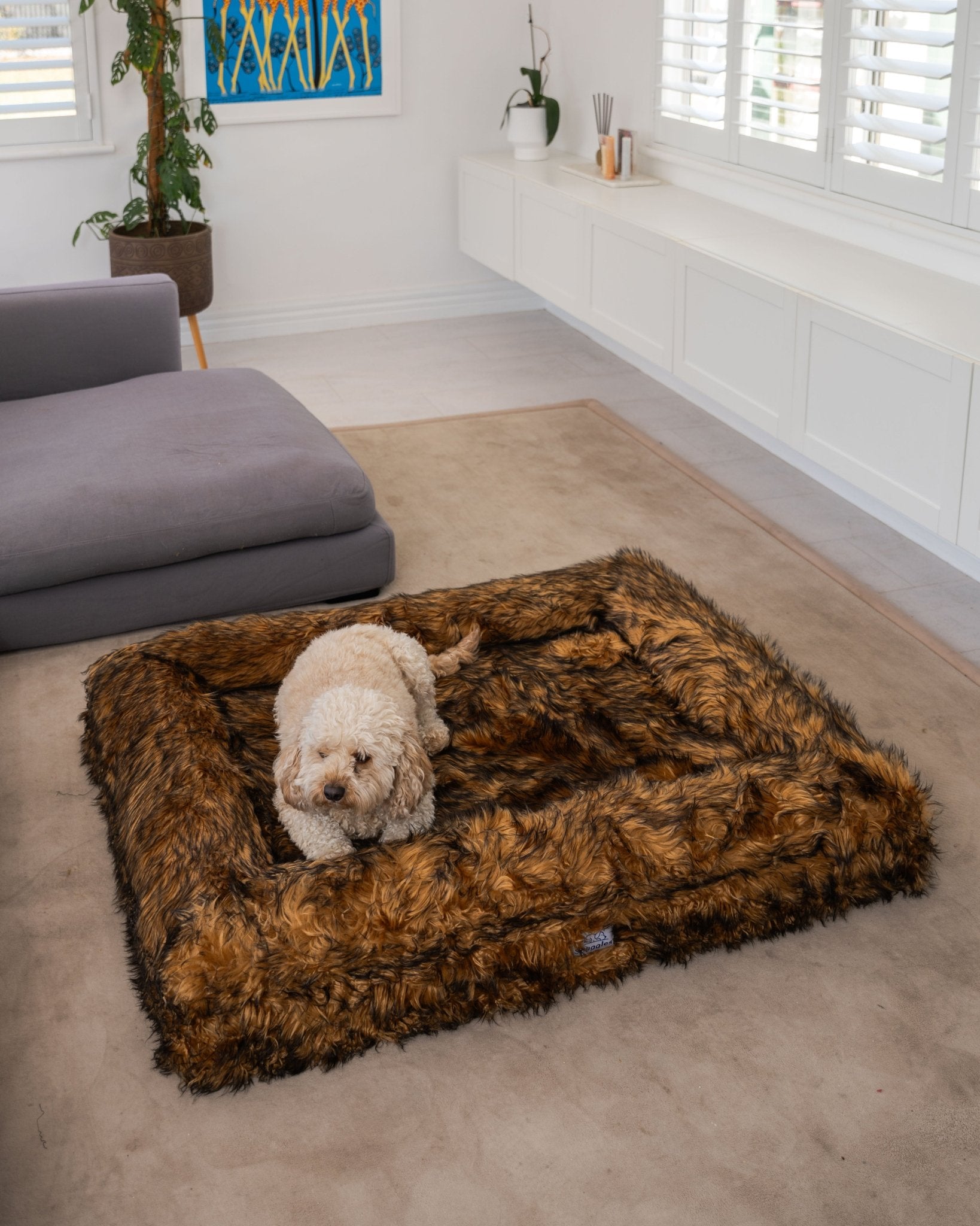 Snuggles Memory Foam Dog Bed - Snuggles Beds