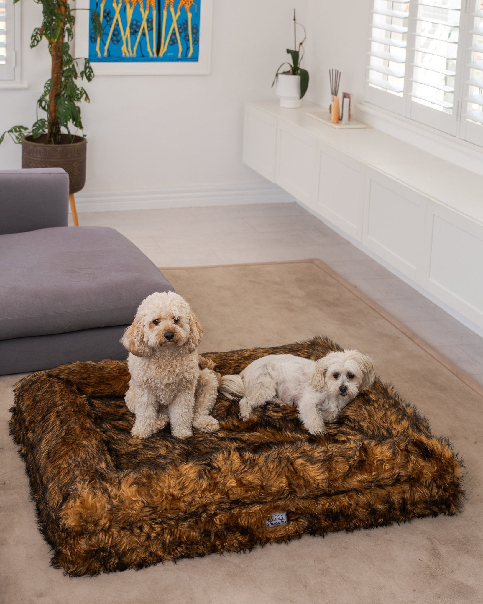 Snuggles Memory Foam Dog Bed - Snuggles Beds
