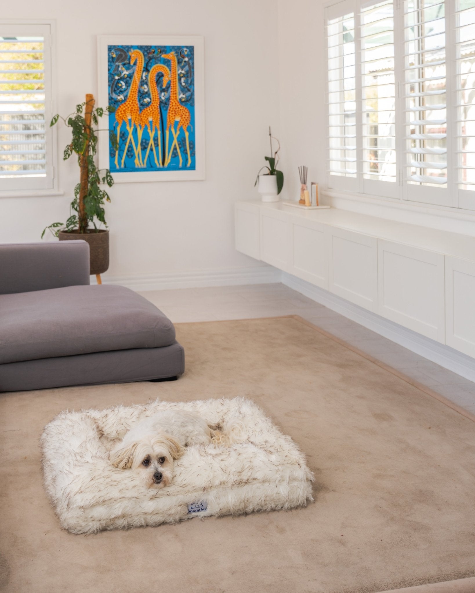Snuggles Memory Foam Dog Bed - Snuggles Beds