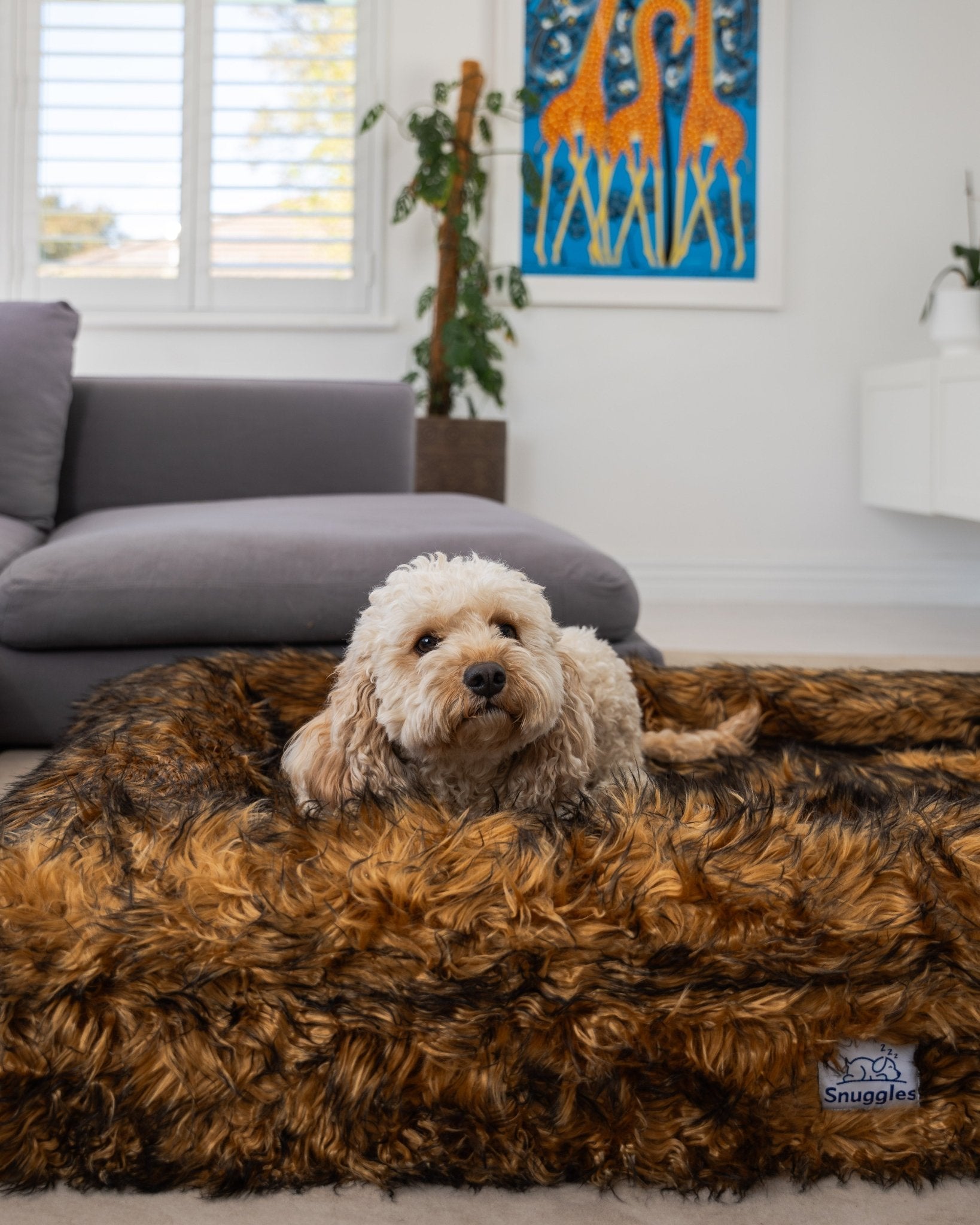 Snuggles Memory Foam Dog Bed - Snuggles Beds