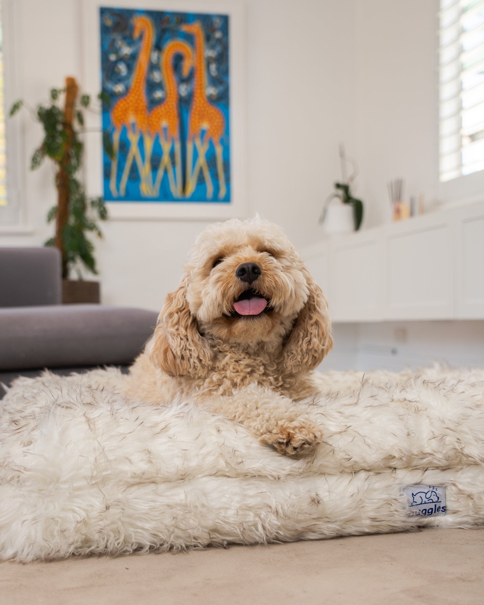 Snuggles Memory Foam Dog Bed - Snuggles Beds