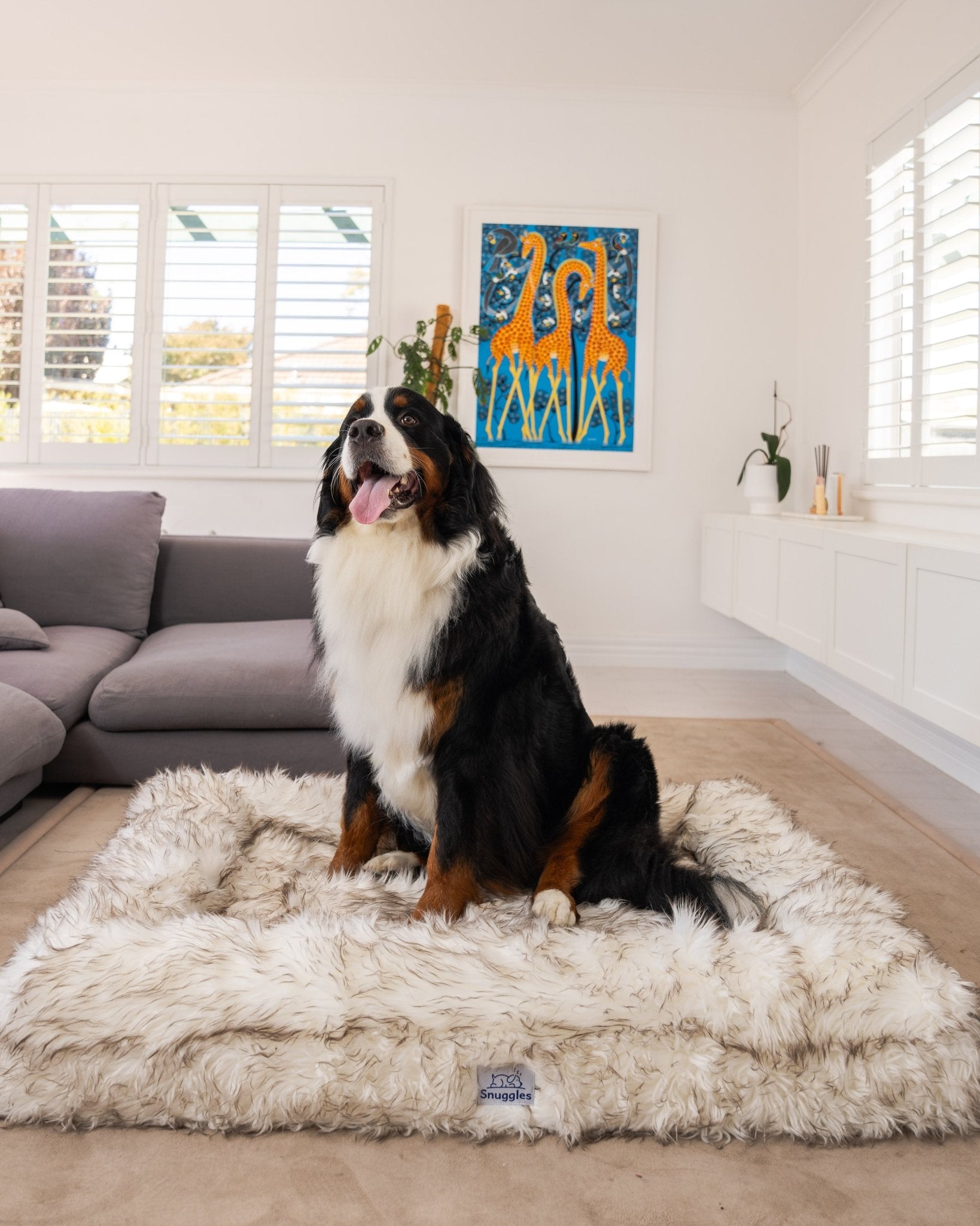 Snuggles Memory Foam Dog Bed - Snuggles Beds