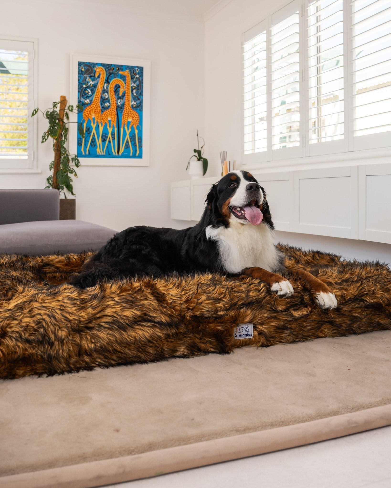 Snuggles Memory Foam Dog Bed - Snuggles Beds