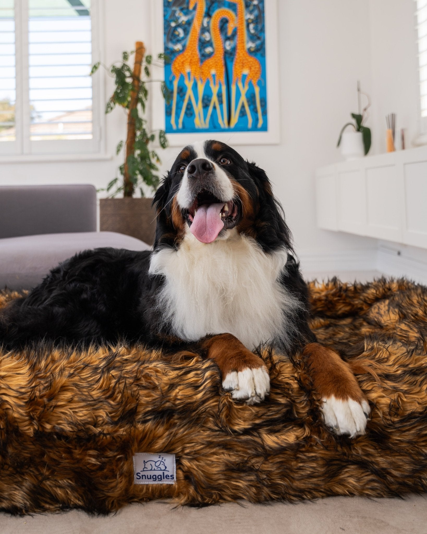 Snuggles Memory Foam Dog Bed - Snuggles Beds