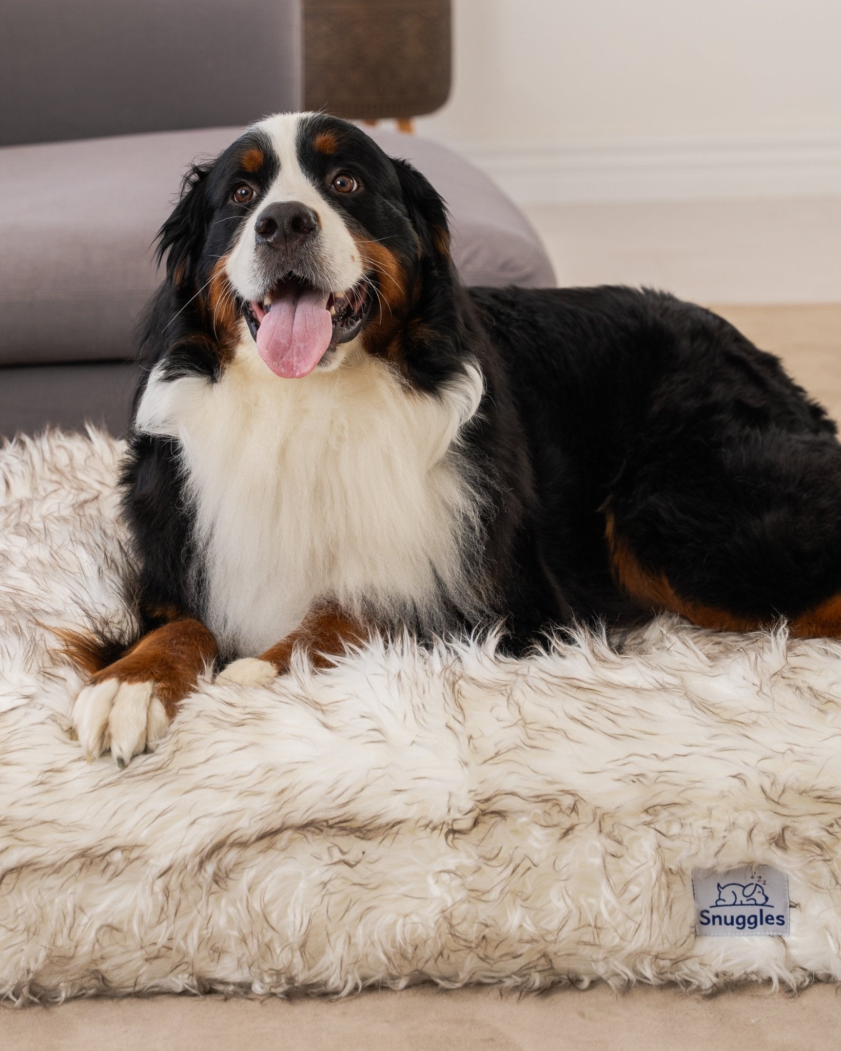 Snuggles Memory Foam Dog Bed - Snuggles Beds