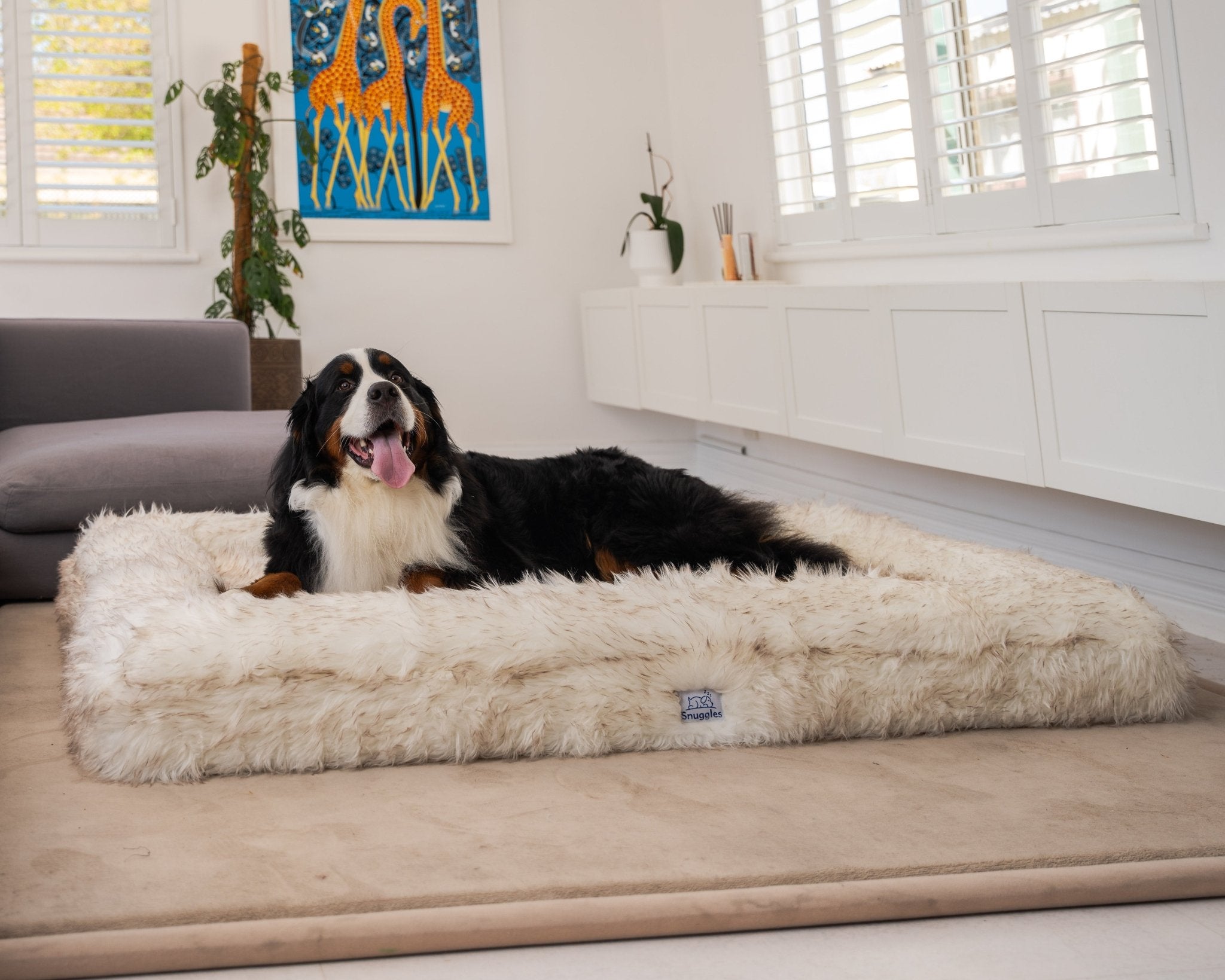 Snuggles Memory Foam Dog Bed - Snuggles Beds