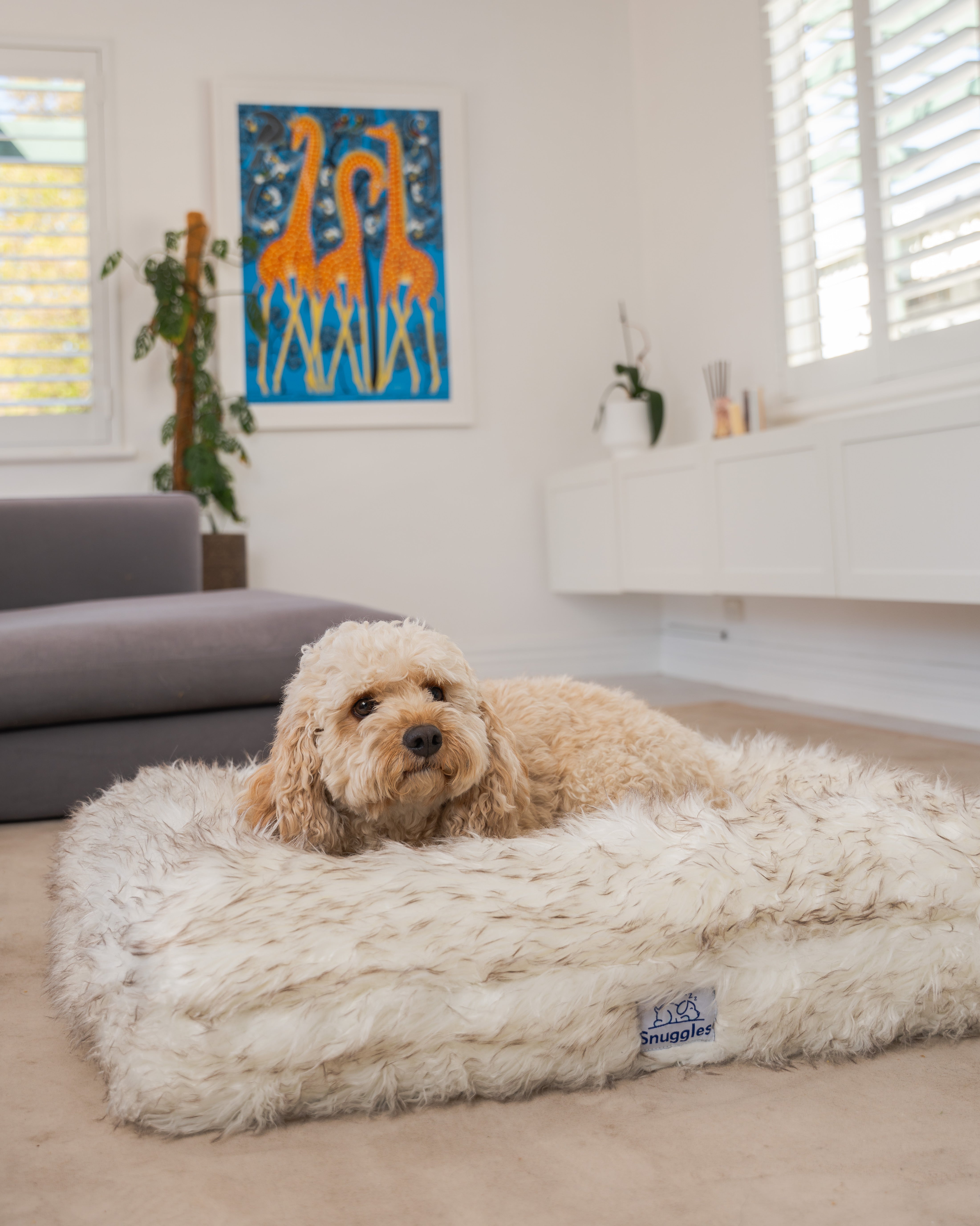 Snuggles Memory Foam Dog Bed