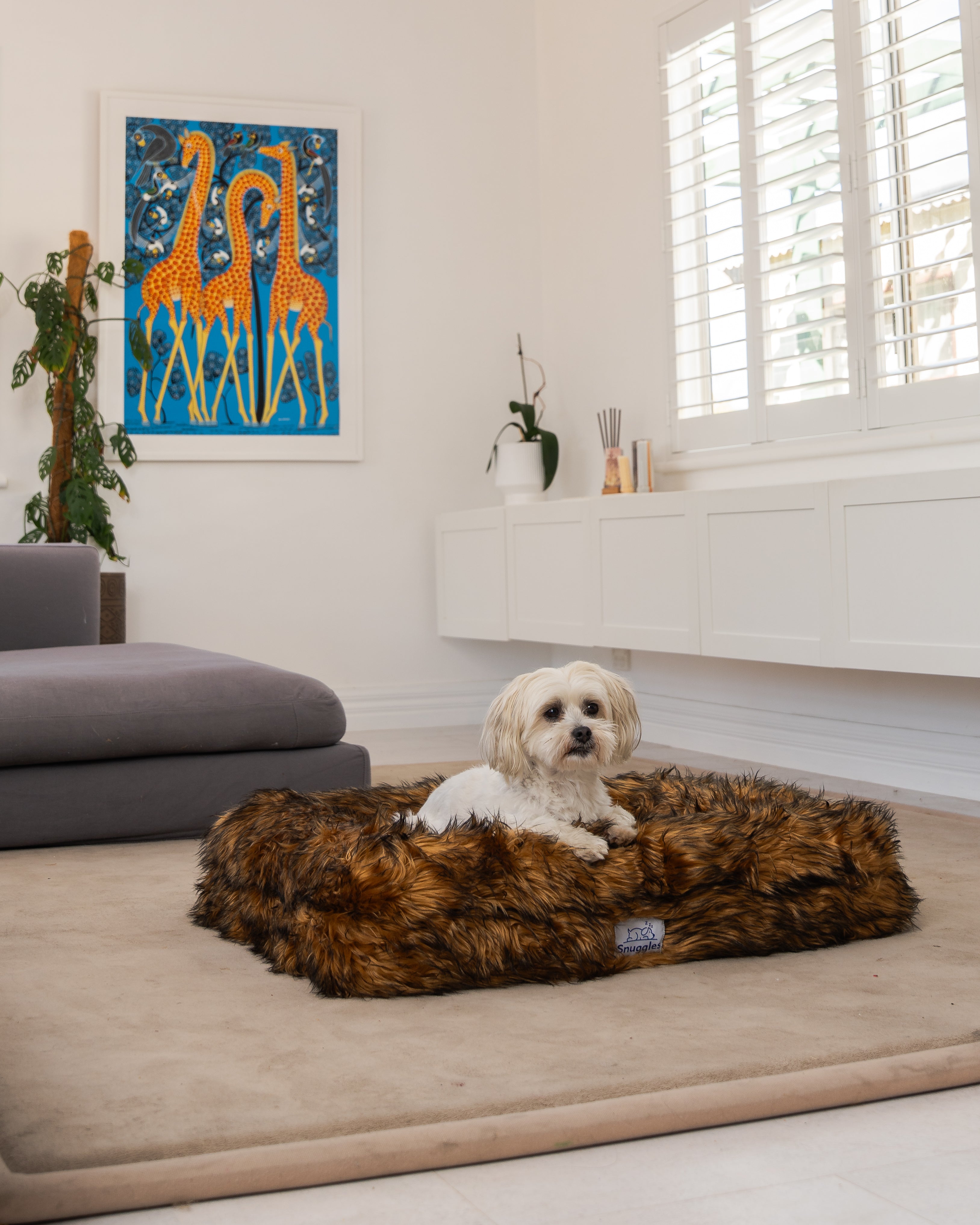 Snuggles Memory Foam Dog Bed